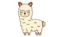 Come disegnare un alpaca