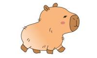 Come disegnare un capibara