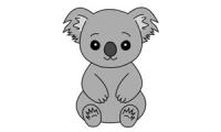 Come disegnare un koala