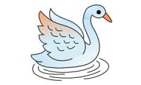 Come disegnare un cigno