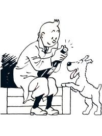 Tintin e Snowy