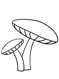 2 funghi