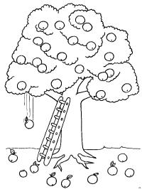 Albero di mele