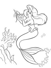 Ariel con un fiore