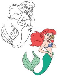 Colora Ariel