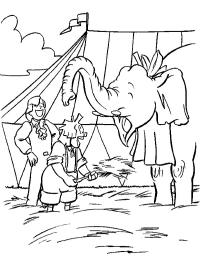 Clown e acrobata con l'elefante