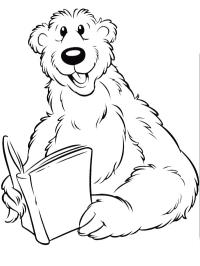 Orso che legge un libro