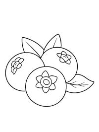 Mirtilli