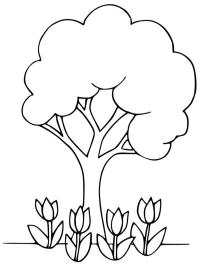 Albero e tulipani