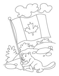 Il castoro tiene la bandiera canadese