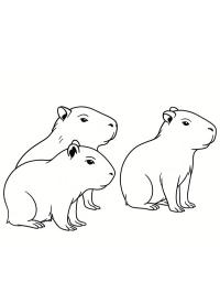 Cuccioli di capibara