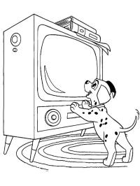 Il dalmata guarda la tv