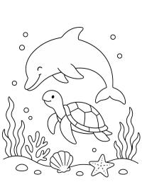 Delfino e tartaruga marina sott'acqua