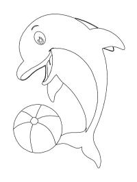 Delfino con una palla