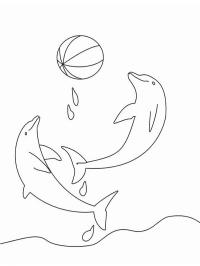 Delfini che giocano con la palla