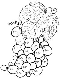 Matematica con l'uva