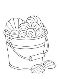 Secchio con conchiglie