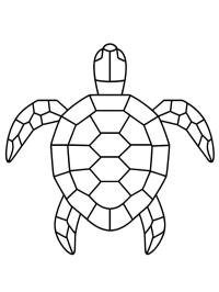 Tartaruga geometrica
