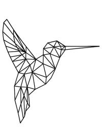 Colibrì geometrico