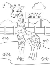 Giraffa allo zoo