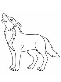 Lupo ululante