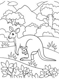 Canguro con cucciolo nel marsupio