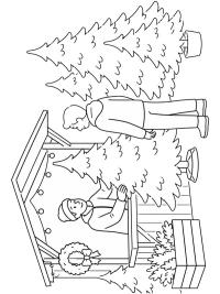 Vendita alberi di Natale