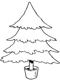 Albero di Natale in vaso