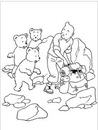 Tintin e gli orsi
