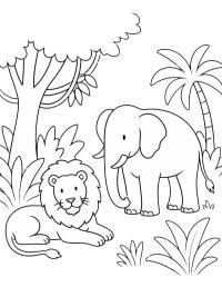 Leone ed elefante nella giungla