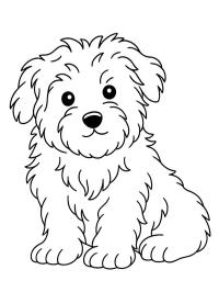 Maltese