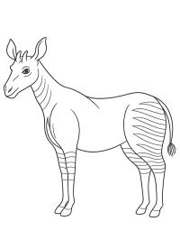 Okapi