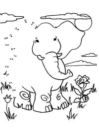 Disegna un elefante