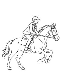Cavallo al galoppo con fantino