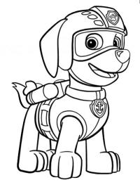 Zuma (PAW Patrol)