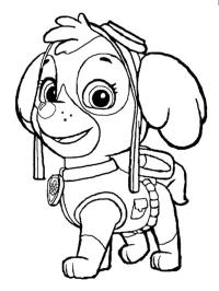 Skye (PAW Patrol)