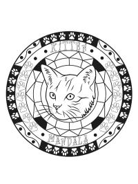 Mandala gatto