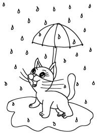 Gatto nella pioggia