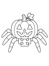 Zucca ragno