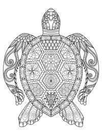 Tatuaggio mandala tartaruga