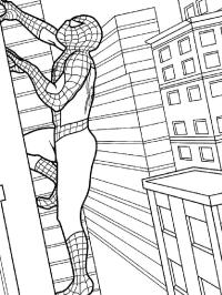 Spiderman si arrampica sull'edificio