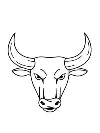 Testa di toro