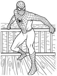 Spiderman coraggioso