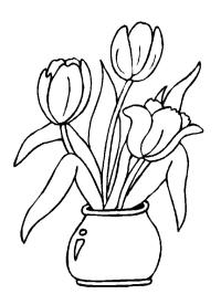 Tulipani in vaso