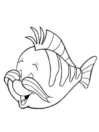 pesciolino Flounder