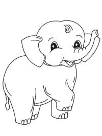 Elefante felice