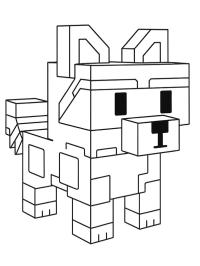 Raccoon (Grow a garden)