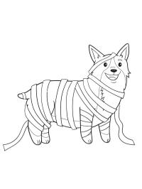 Cane Corgi Pembroke vestito da mummia