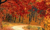 Autunno