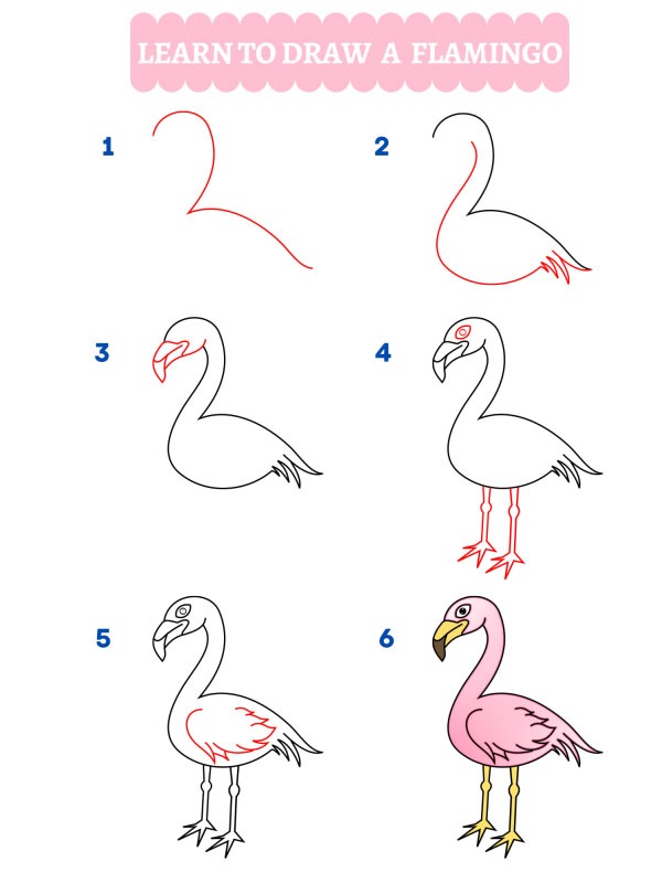 Come disegnare un fenicottero